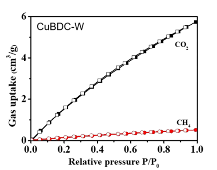 1593483956140064348.png image003.png